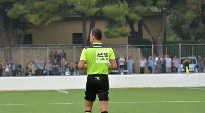Decisione Giudice Sportivo – Campionato Regionale Under 17-15 – Under 16-14-  03 aprile 2019