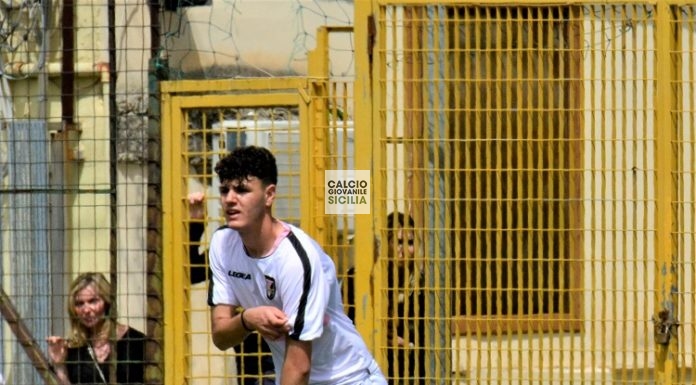 Trapani Calcio: preso Marino (2003) ex Palermo