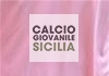 SSD Palermo: i nomi degli allenatori del settore giovanile