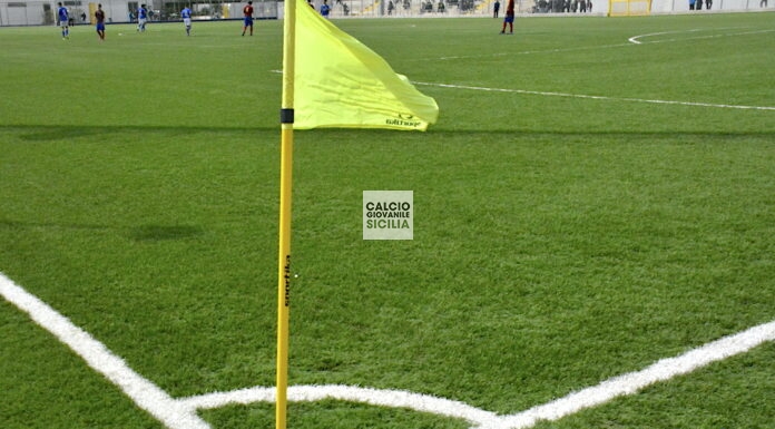 Campionato Elite Regionale Under 17/15: programma gare e risultati