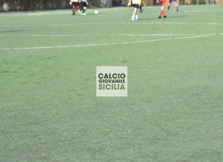 Torneo delle Regioni, stagione sportiva 24-25: un successo sul piano qualitativo