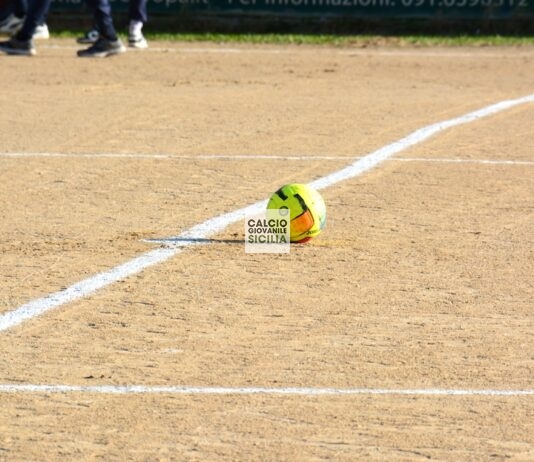 Campionato di Eccellenza, Stagione Sportiva 2025/2026: I gironi