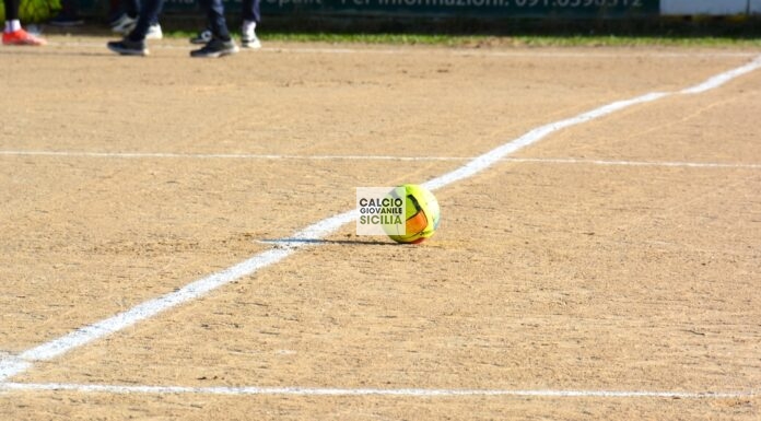 Campionato di Eccellenza, Stagione Sportiva 2025/2026: I gironi