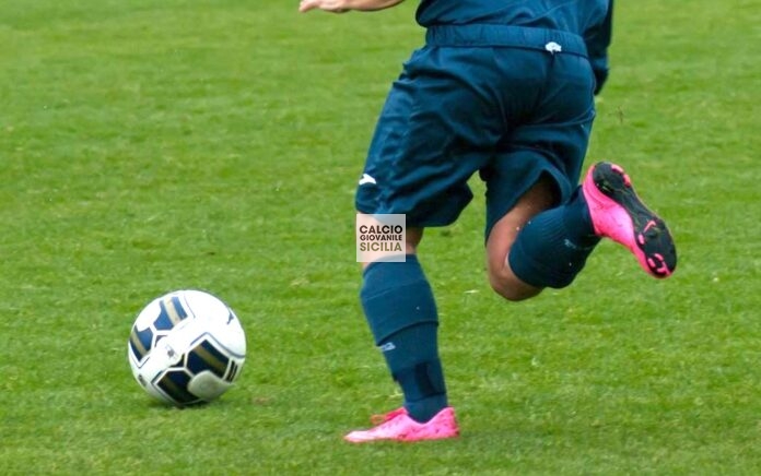 12604901_1118052994902353_6684140390559917588_o